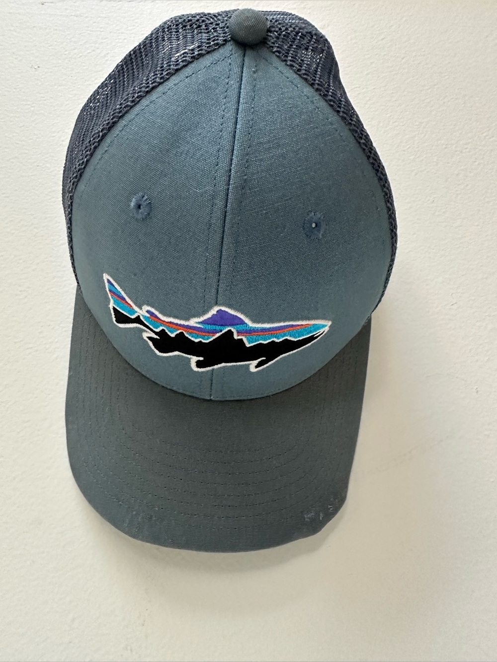 Patagonia Fitz Roy trucker hat